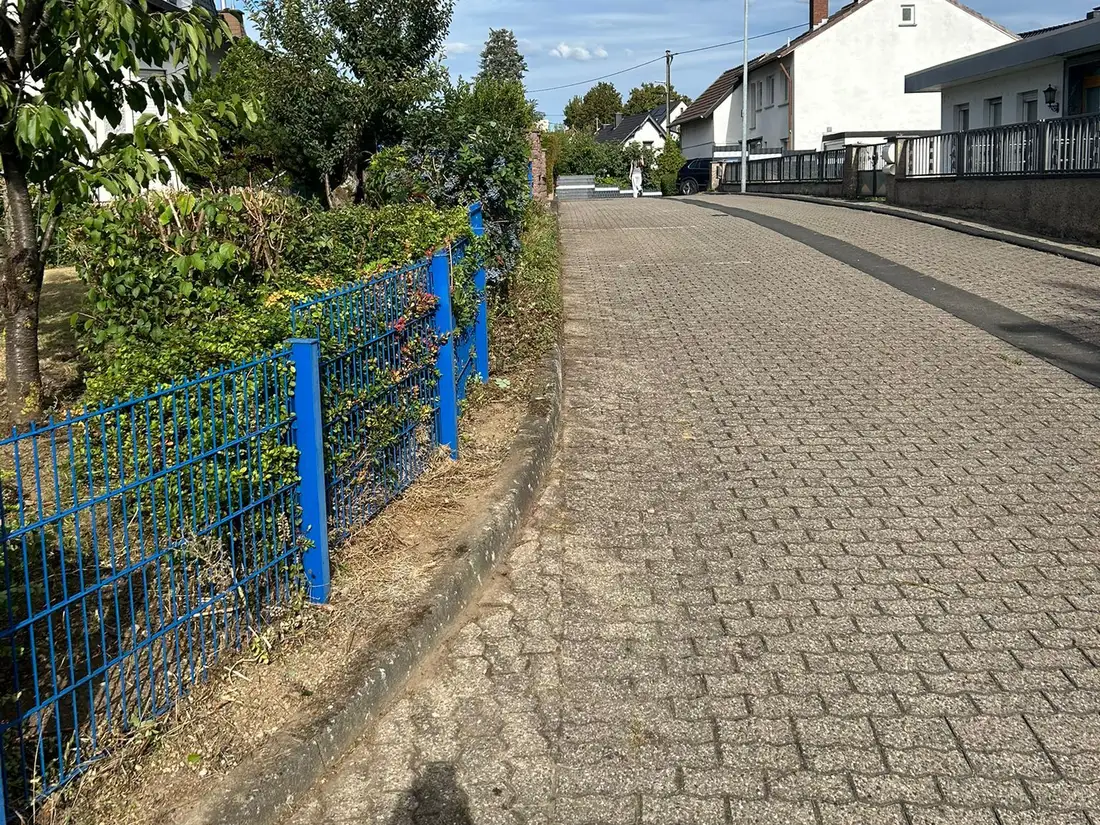 Nachher: Hecke auf Zaunhöhe zurückgeschnitten, der Gehweg ist in voller Breite frei