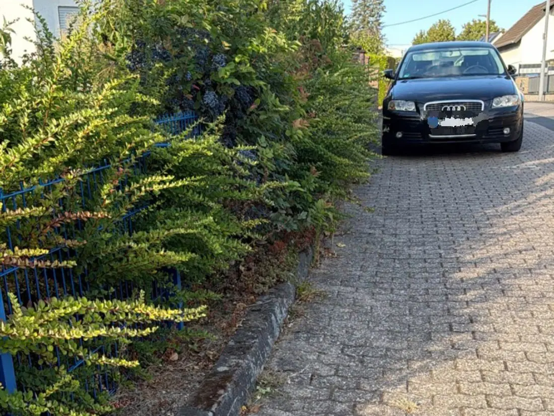 Vorher: Hecke wächst über den Bordstein und verengt den gepflasterten Gehweg