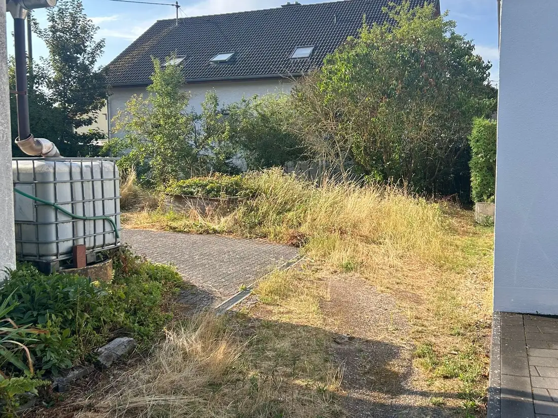 Vorher: zugewachsener Hof mit überwuchertem Weg neben dem Wohnhaus