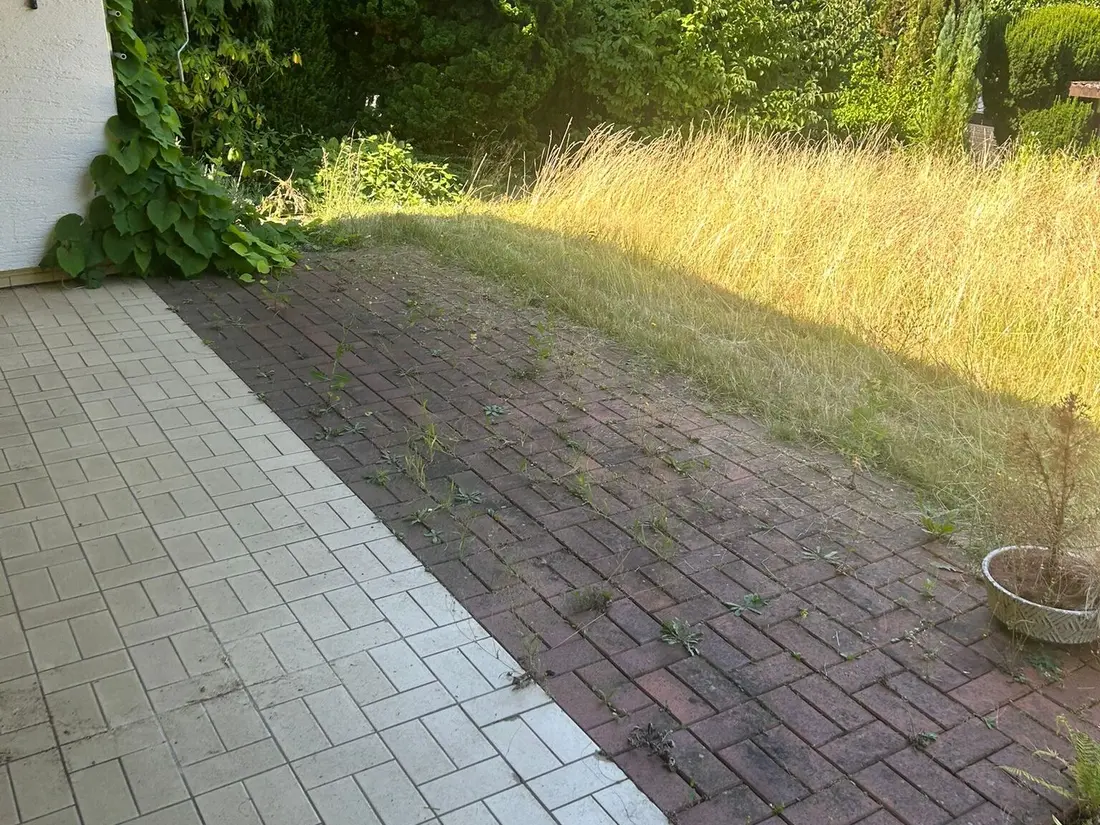Vorher: hüfthohes Trockengras reicht bis an die gepflasterte Terrasse am Wohnhaus