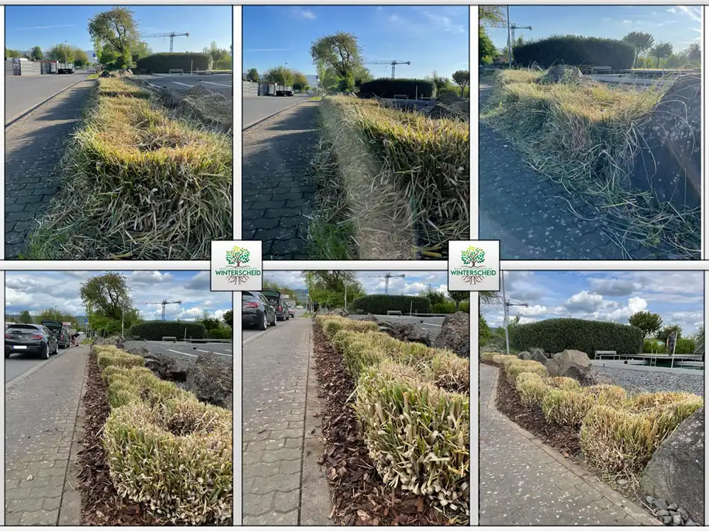 Vorher-Nachher: überwachsenes Straßenbegleitgrün zurückgeschnitten und gemulcht